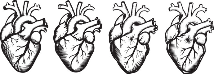 silhouette vector logo of a realistic heart