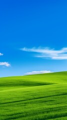 Fototapeta premium digital technology blue sky grass landscape poster background with generative