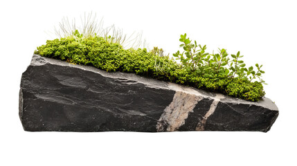 Png of Natural Stone Decor with Vibrant Moss and Green Foliage Accent on transparent background.