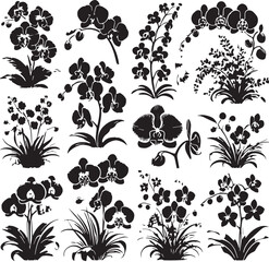 Black Color Orchids Silhouette Vector Illustration, Solid White Background. minimal vector design