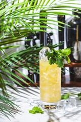 Tequila limeade alcoholic cocktail drink with blanco tequila, agave syrup, cilantro, jalapeno pepper, lime juice and soda. Marble table, white walls, palm leaves with shadow
