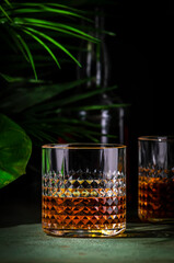 Japanese whiskey single malt in rocks glass. Dark green background with tropical leaves