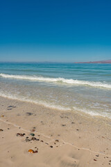 Playa El Tecolote BCS