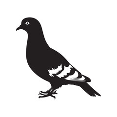 Pigeons Silhouettes Vector 
