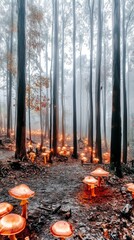 Obraz premium Glowing Mushrooms Forest Path