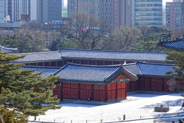 설경,마당,기와지붕,고층빌딩,다운타운,창경궁,종로구,서울 © JinChang