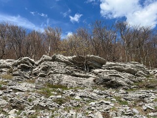 Limestone rocks and karst mountain landscape - Velebit Nature Park, Croatia (Vapnenačke stijene i krški planinski krajolik - Park prirode Velebit, Hrvatska)