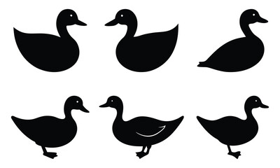 Fototapeta premium Black Silhouette Ducks - Nature Icon Design