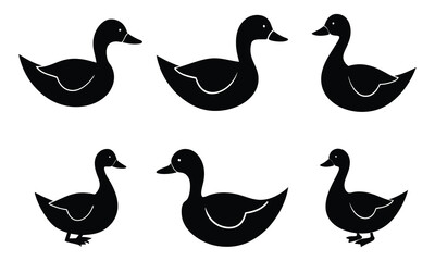 Fototapeta premium Ducks in Silhouette - Wildlife Vector Art Collection