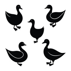 Fototapeta premium Minimalistic Duck Clipart for Nature Illustrations