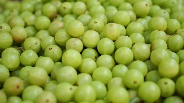 Close-up shot of Indian gooseberries in a basket at Nyaung U Market, Bagan, Myanmar