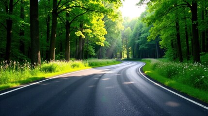 Obraz premium Asphalt Road Winding Through Lush Green Forest Canopy on a Sunny Day