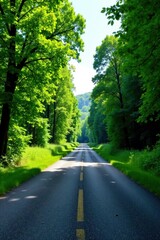Fototapeta premium Sun-Dappled Road Through Lush Green Canopy, A Serene Journey Awaits