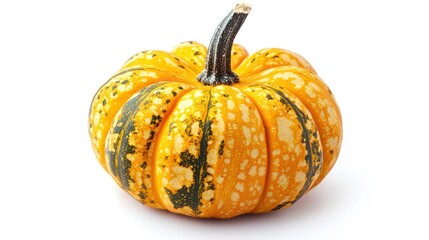Halloween pumpkin isolated on white background, full depth of field