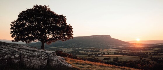 Serene Sunset Landscape  Tree  Hill  Countryside  Golden Hour