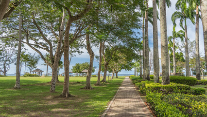 A straight paved walking path in a tropical park. Sprawling trees, bushes, and palms grow on the green lawn. The ocean is ahead. Canopies, sun umbrellas on the coast. The blue sky. Malaysia. Borneo.
