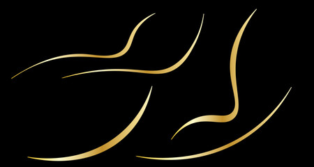 Wavy Fluid Golden Line Art