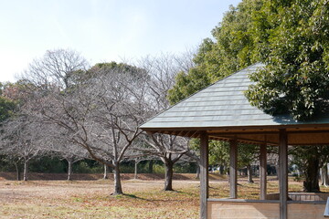 御塚・権現塚古墳　公園の風景