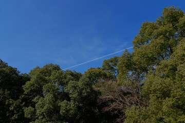 御塚・権現塚古墳　公園の風景