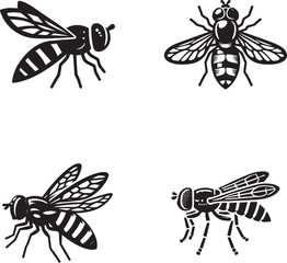 Vector Silhouettes of Various Insects