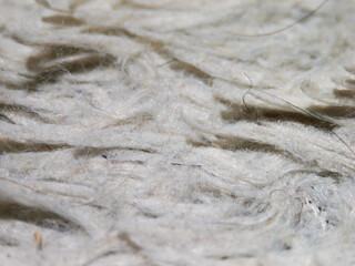 The image is of a white rug with a lot of hair on it