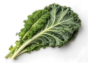 cabbage isolated on white