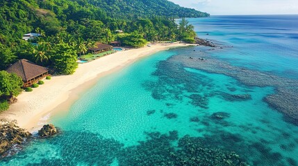 Obraz premium Aerial view of a turquoise tropical beach with palm trees, paradise setting