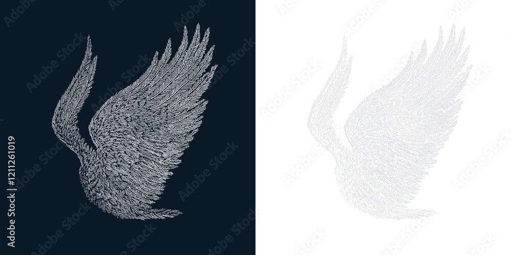 Poster elegant wing design featuring intricate detail on contrasting backgrounds in a transparent format