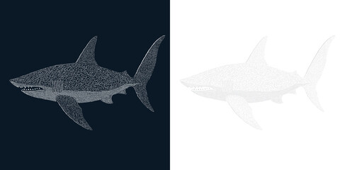 Obraz premium Detailed illustration of a shark in a stylized design with contrasting backgrounds