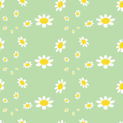 Daisy Pattern Images. Blossom Seamless Pattern of White Daisies on Color Background.