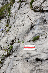 swiss flag on hiking path