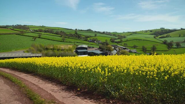 Rapeseed fields and farms from full frame Z6, Devon, England