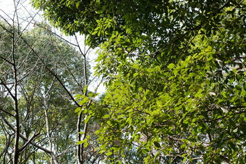 御塚・権現塚古墳　公園の風景