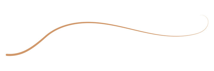Fototapeta premium Beige fine line png divider, transparent background