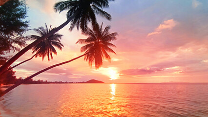 Sunset sea beach, sunrise tropical island, beautiful colorful ocean landscape, palm tree leaf, sun reflection, blue water, yellow, red, pink, orange, purple sky cloud, summer holiday, vacation, travel