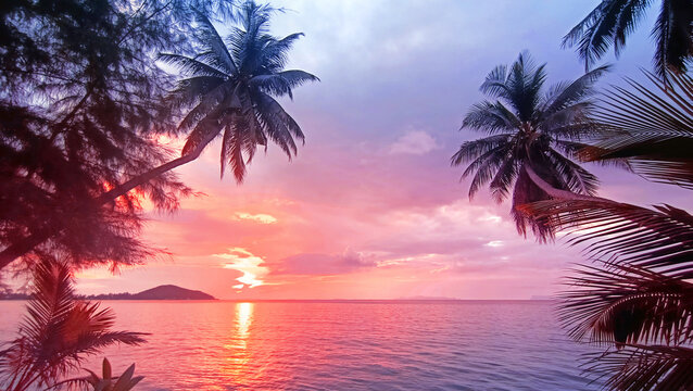 Sunset sea beach, sunrise tropical island, beautiful colorful ocean landscape, palm tree leaf, sun reflection, blue water, yellow, red, pink, orange, purple sky cloud, summer holiday, vacation, travel