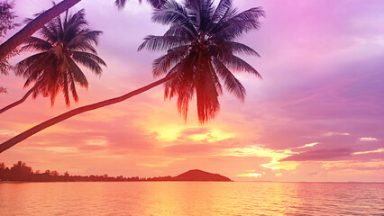 Sunset sea beach, sunrise tropical island, beautiful colorful ocean landscape, palm tree leaf, sun reflection, blue water, yellow, red, pink, orange, purple sky cloud, summer holiday, vacation, travel