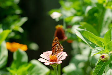 Espejito en flor de papel rosa