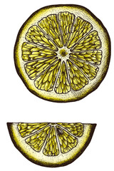 Colorful slice of lemon psd transparent