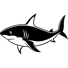 Great White Shark Silhouette on White