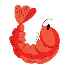 Obraz premium Shrimp vector illustration. Peeled shrimp meat, fresh prawn. Healthy seafood rich in protein. Flat cartoon style, isolated on white background.