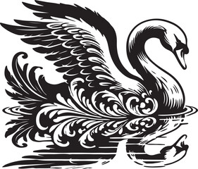 black and white swan
