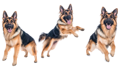 Playful German Shepherd Dogs Joyfully Jumping in Air Generative AI