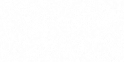 Wavy Line Map Abstract Texture. White wave paper curved reliefs abstract background. The topographic map. 