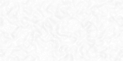 abstract topographic wave line black, white line map texture. geometric discovery mounted location counter grid map background.Minimalist Topographic Line Art