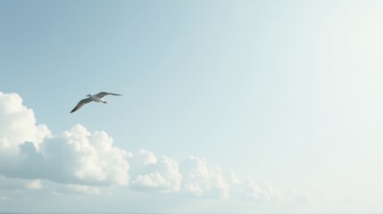 Obraz premium A solitary bird gracefully glides through a vast, pale blue sky adorned with fluffy white clouds, a serene and peaceful scene of natural beauty