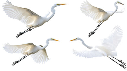 Egrets Soaring Gracefully With Open Wings Generative AI