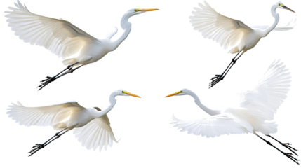 Egrets Soaring Gracefully With Open Wings Generative AI