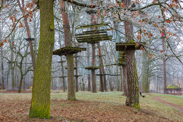 Platforms in the trees above the ground with various obstacles in the rope park. Cables and ropes on trees.