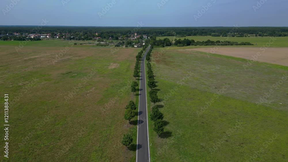 Poster empty asphalt road crossing a countryside landscape with trees and fields. unique aerial view flight